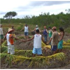 Agroecologia 1