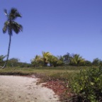 Cleaning beach 2